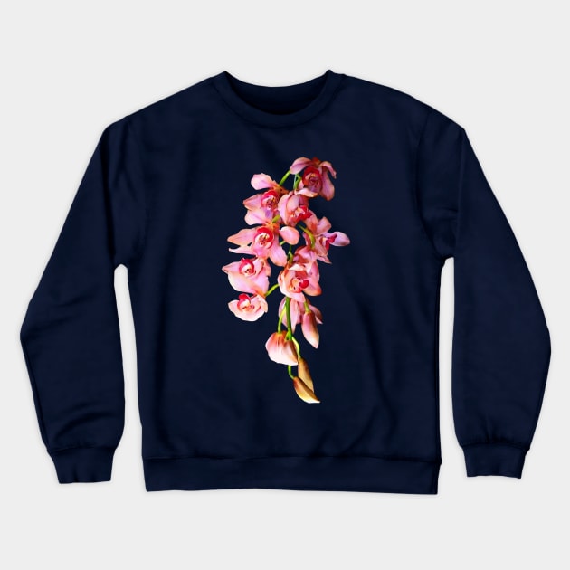 Orchids - Cascade of Pink Orchids Crewneck Sweatshirt by SusanSavad